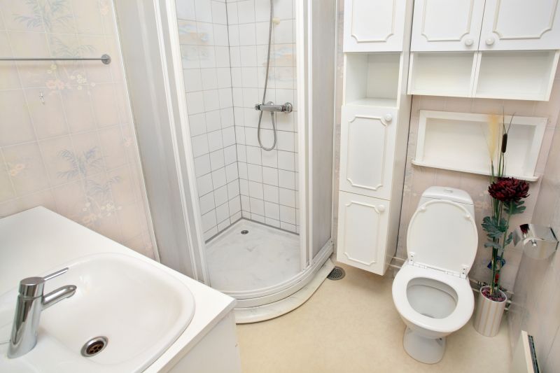 Walk-In Shower Features